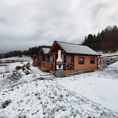 Chatka Niedzwiadka Bezmichowa Dolna Extérieur photo